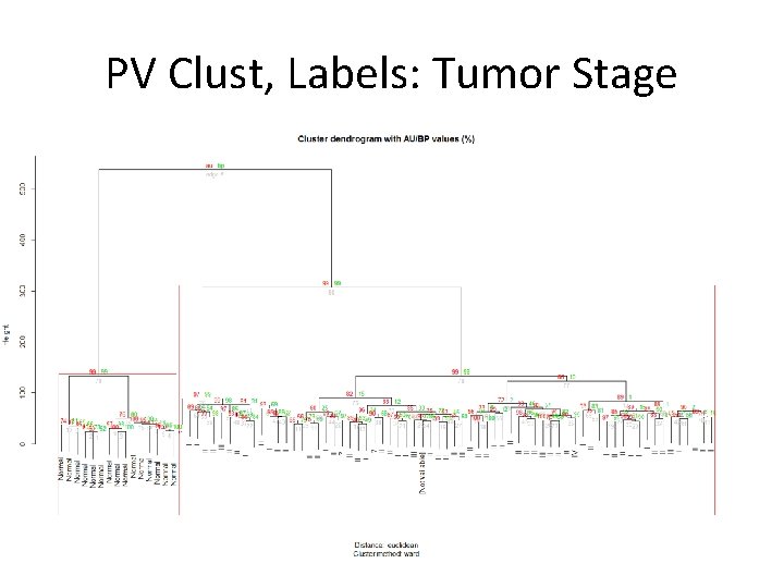 PV Clust, Labels: Tumor Stage 