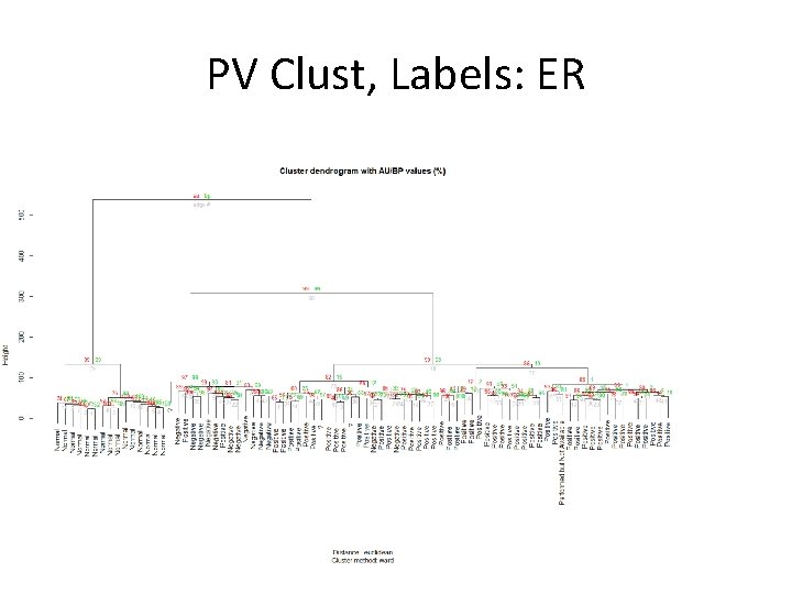 PV Clust, Labels: ER 