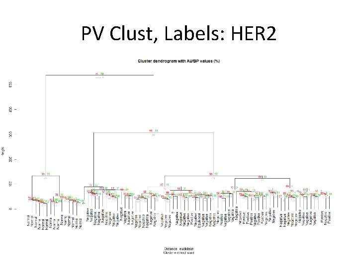 PV Clust, Labels: HER 2 