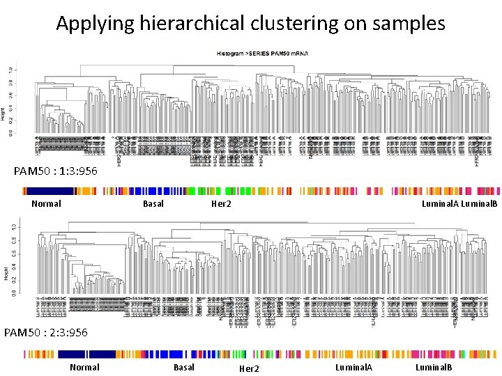 Applying hierarchical clustering on samples PAM 50 : 1: 3: 956 Normal Basal Luminal.