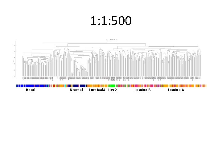 1: 1: 500 Basal Normal Luminal. A Her 2 Luminal. B Luminal. A 