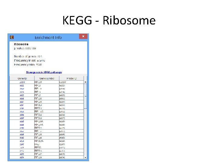 KEGG - Ribosome 