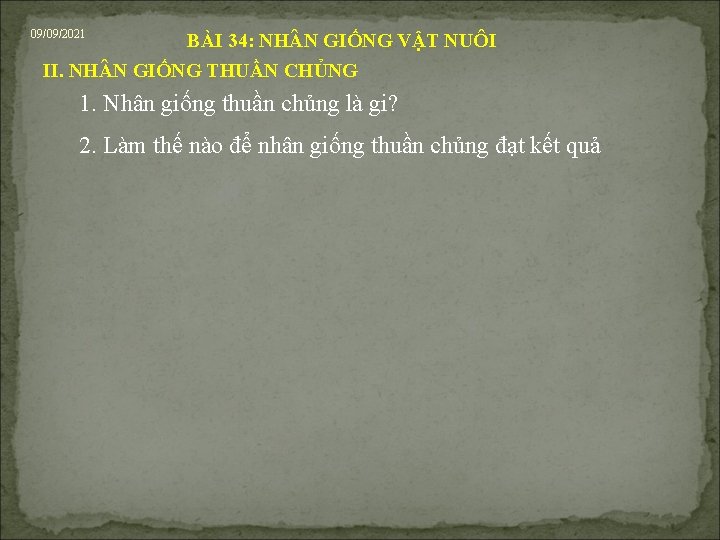 09/09/2021 BÀI 34: NH N GIỐNG VẬT NUÔI II. NH N GIỐNG THUẦN CHỦNG