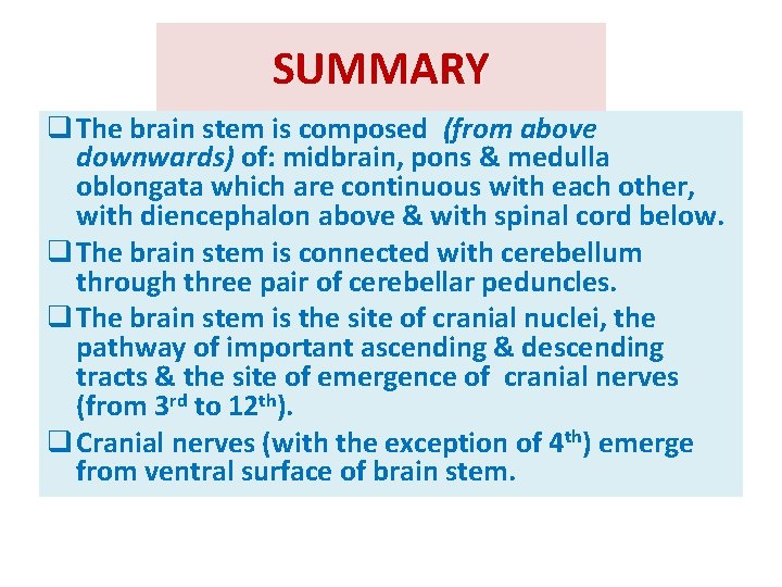 SUMMARY q The brain stem is composed (from above downwards) of: midbrain, pons & SUMMARY q The brain stem is composed (from above downwards) of: midbrain, pons &
