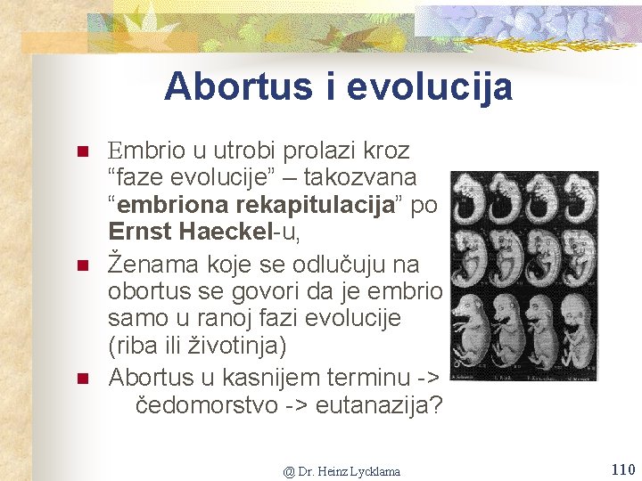 Abortus i evolucija n n n Embrio u utrobi prolazi kroz “faze evolucije” –