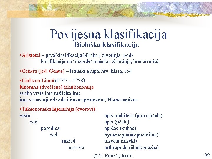 Povijesna klasifikacija Biološka klasifikacija • Aristotel – prva klasifikacija biljaka i životinja; podklasfikacija na