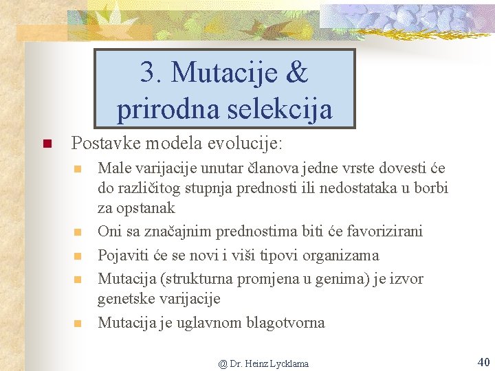 3. Mutacije & prirodna selekcija n Postavke modela evolucije: n n n Male varijacije