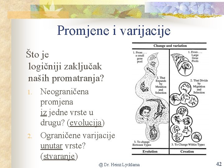 Promjene i varijacije Što je logičniji zaključak naših promatranja? 1. 2. Neograničena promjena iz