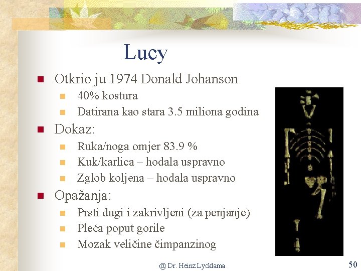 Lucy n Otkrio ju 1974 Donald Johanson n Dokaz: n n 40% kostura Datirana