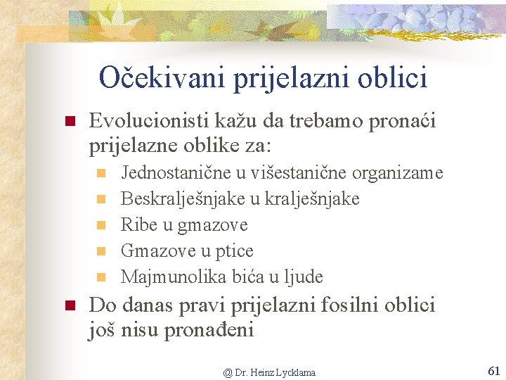 Očekivani prijelazni oblici n Evolucionisti kažu da trebamo pronaći prijelazne oblike za: n n