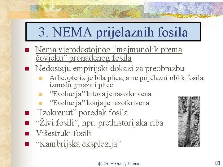 3. NEMA prijelaznih fosila n n Nema vjerodostojnog “majmunolik prema čovjeku” pronađenog fosila Nedostaju