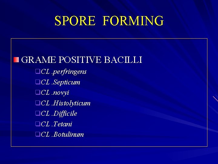 SPORE FORMING GRAME POSITIVE BACILLI q. CL. perfringens q. CL. Septicum q. CL. novyi