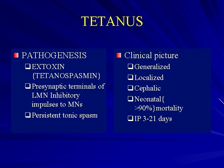 TETANUS PATHOGENESIS q. EXTOXIN {TETANOSPASMIN} q. Presynaptic terminals of LMN Inhibitory impulses to MNs