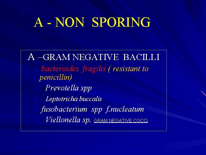 A - NON SPORING A –GRAM NEGATIVE BACILLI Ø bacteroides fragilis ( resistant to