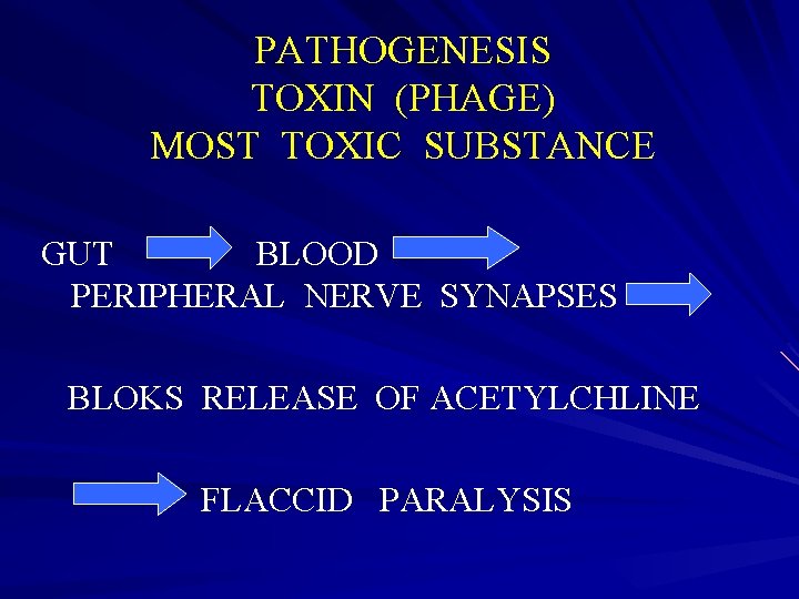 PATHOGENESIS TOXIN (PHAGE) MOST TOXIC SUBSTANCE GUT BLOOD PERIPHERAL NERVE SYNAPSES BLOKS RELEASE OF