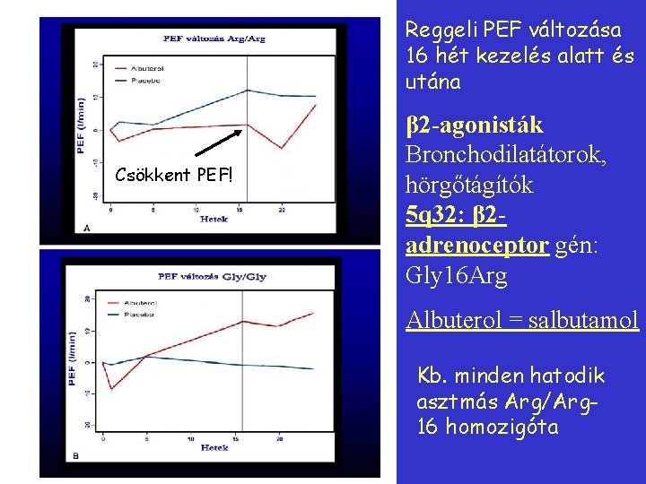 Reggeli PEF változása 16 hét kezelés alatt és utána Csökkent PEF! β 2 -agonisták