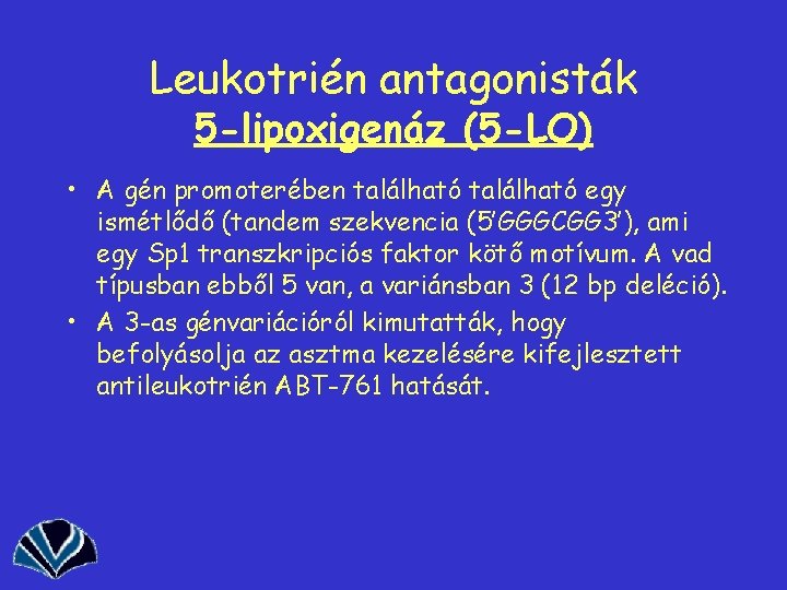 Leukotrién antagonisták 5 -lipoxigenáz (5 -LO) • A gén promoterében található egy ismétlődő (tandem