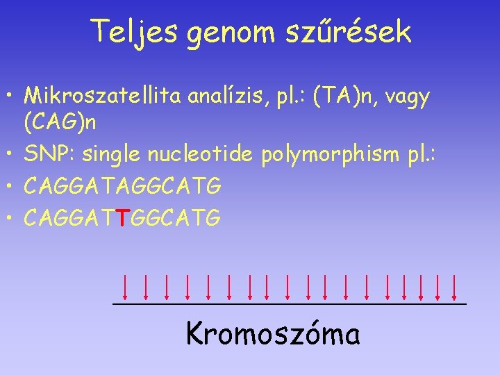 Teljes genom szűrések • Mikroszatellita analízis, pl. : (TA)n, vagy (CAG)n • SNP: single