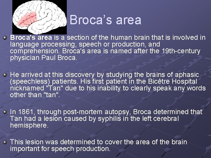 Broca’s area Broca's area is a section of the human brain that is involved