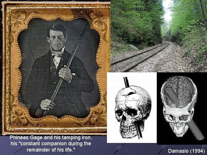 Phineas Gage and his tamping iron, his "constant companion during the remainder of his