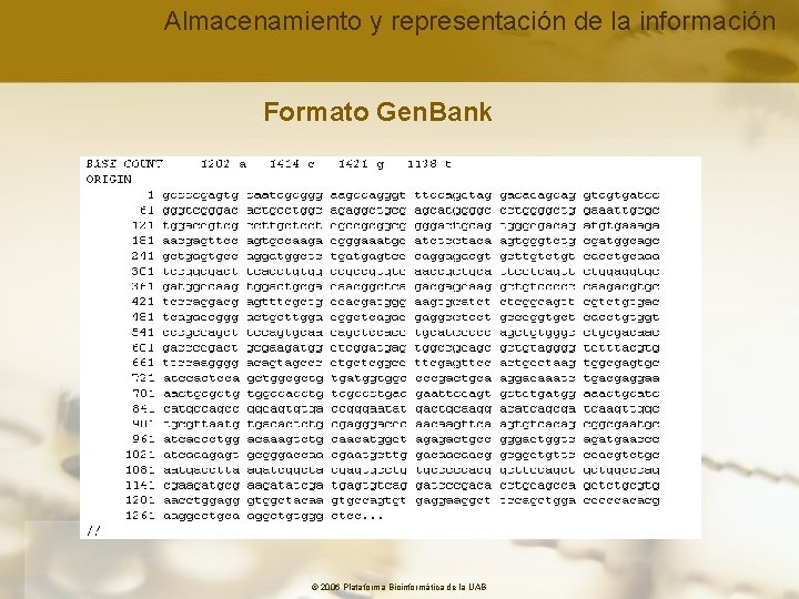 Almacenamiento y representación de la información Formato Gen. Bank © 2006 Plataforma Bioinformàtica de