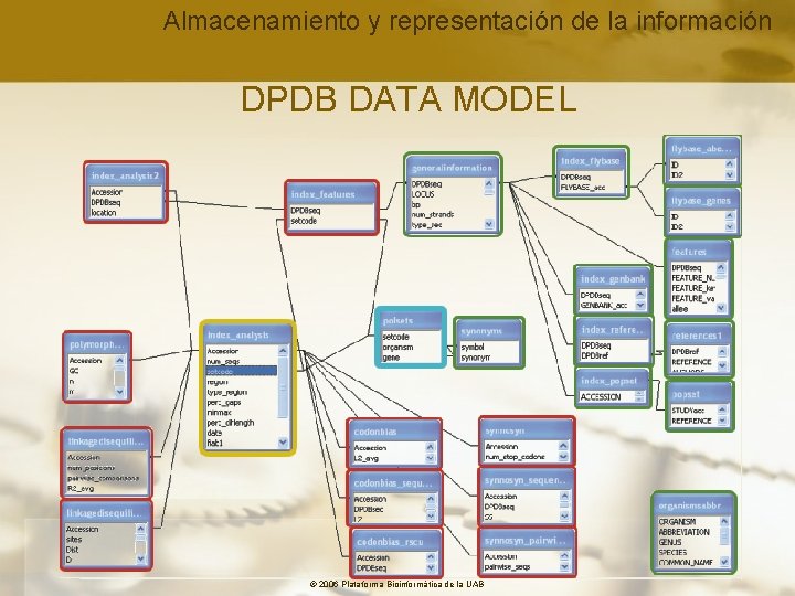 Almacenamiento y representación de la información DPDB DATA MODEL © 2006 Plataforma Bioinformàtica de