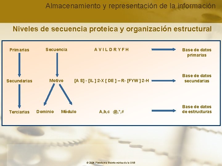 Almacenamiento y representación de la información Niveles de secuencia proteica y organización estructural Primarias