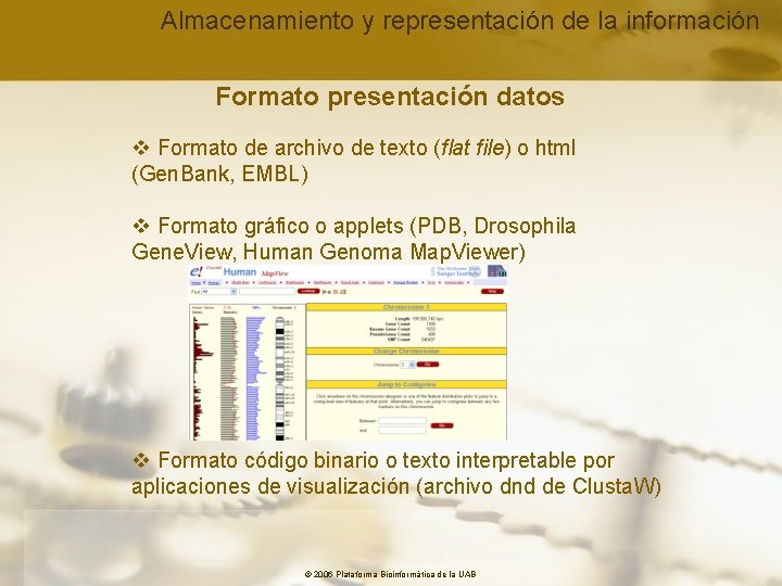 Almacenamiento y representación de la información Formato presentación datos v Formato de archivo de