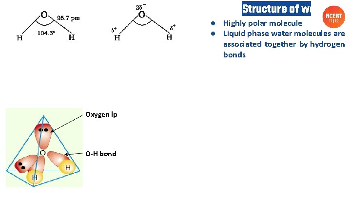 Structure of water ● Highly polar molecule ● Liquid phase water molecules are associated