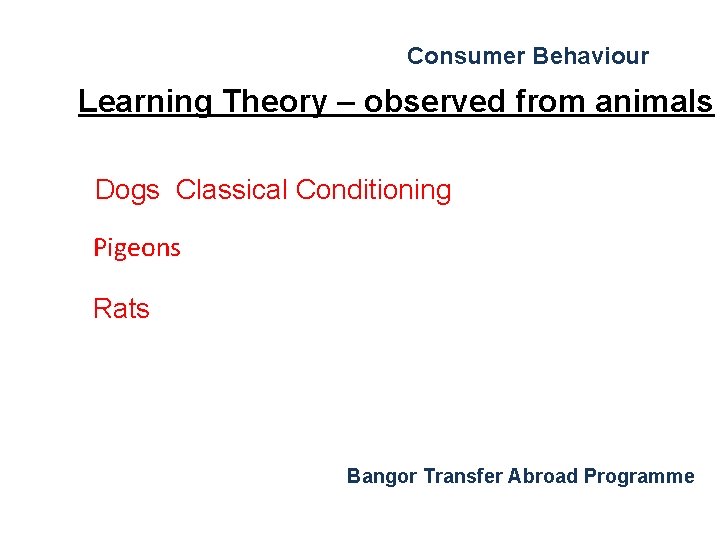 Consumer Behaviour Learning Theory – observed from animals Dogs Classical Conditioning Pigeons Rats Bangor Consumer Behaviour Learning Theory – observed from animals Dogs Classical Conditioning Pigeons Rats Bangor