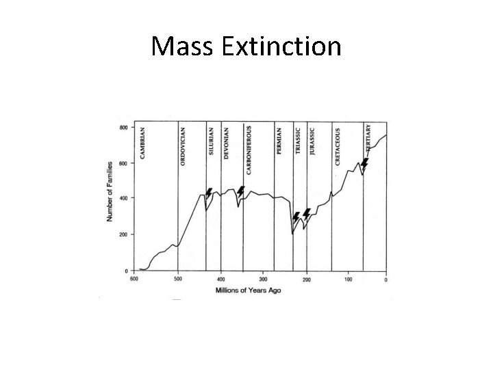 Mass Extinction 