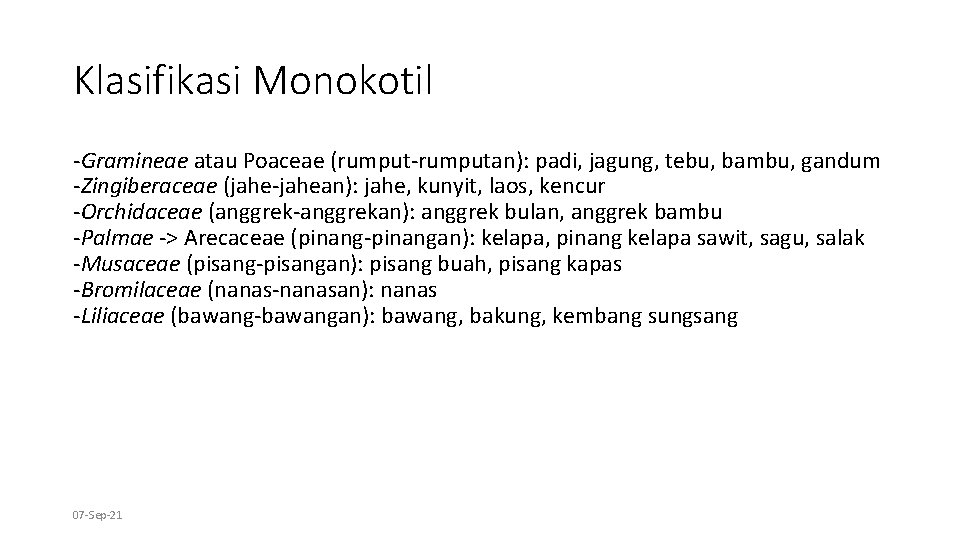 Klasifikasi Monokotil -Gramineae atau Poaceae (rumput-rumputan): padi, jagung, tebu, bambu, gandum -Zingiberaceae (jahe-jahean): jahe,