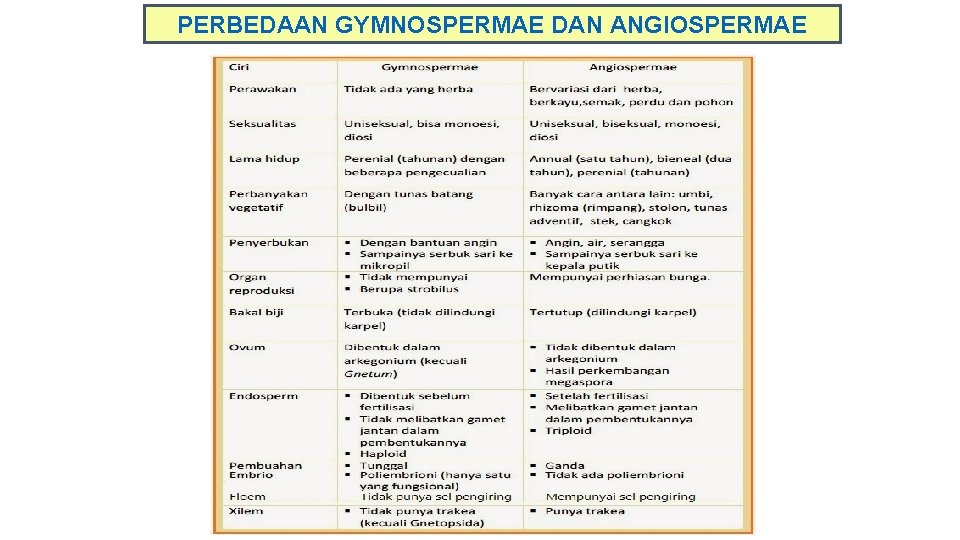 PERBEDAAN GYMNOSPERMAE DAN ANGIOSPERMAE 