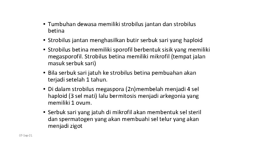  • Tumbuhan dewasa memiliki strobilus jantan dan strobilus betina • Strobilus jantan menghasilkan