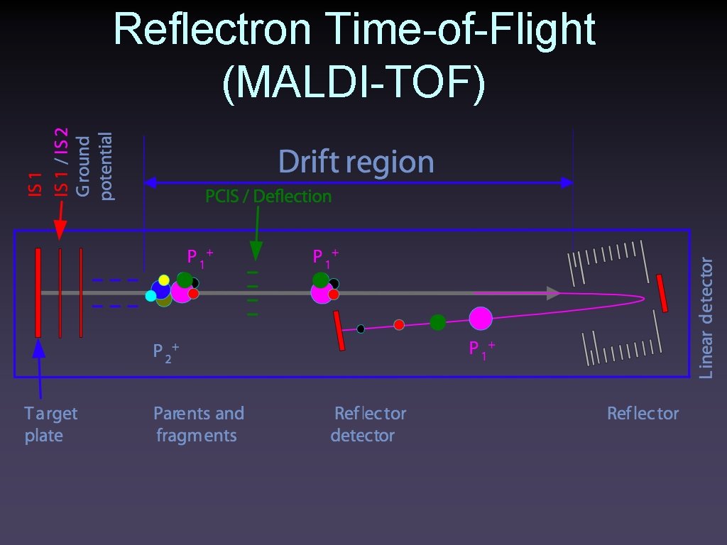 Reflectron Time-of-Flight (MALDI-TOF) 