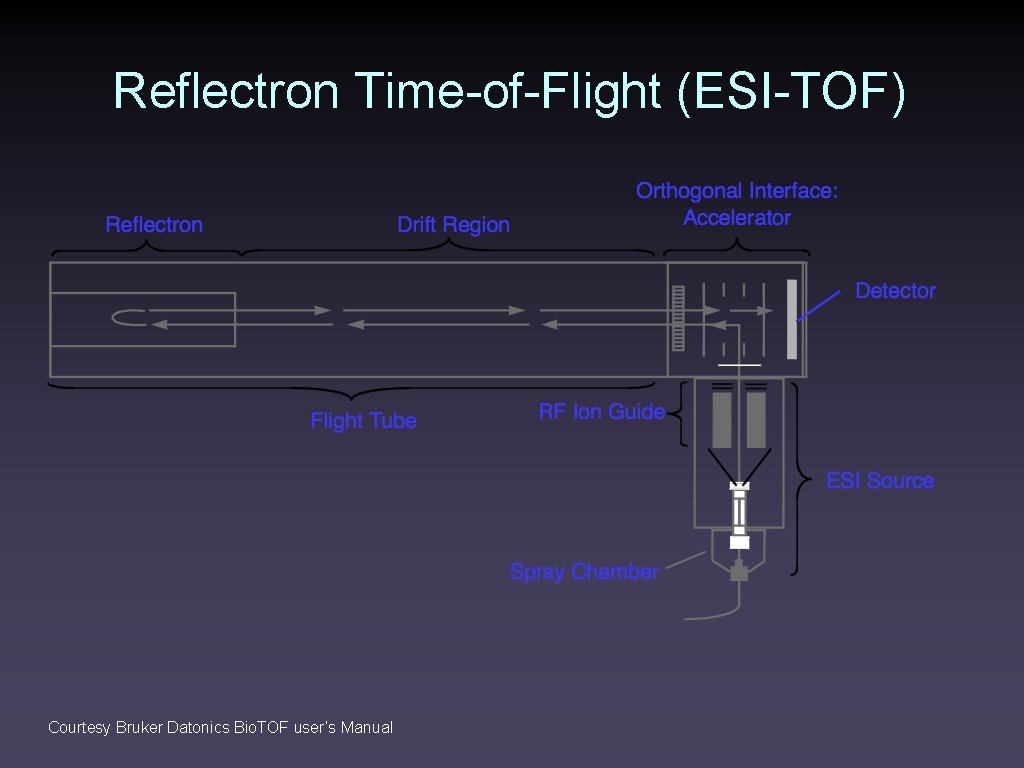 Reflectron Time-of-Flight (ESI-TOF) Courtesy Bruker Datonics Bio. TOF user’s Manual 