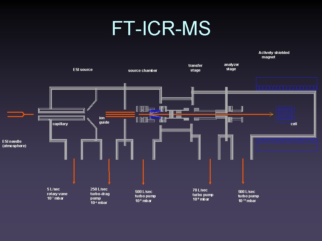FT-ICR-MS Actively shielded magnet ESI source capillary source chamber transfer stage analyzer stage ion