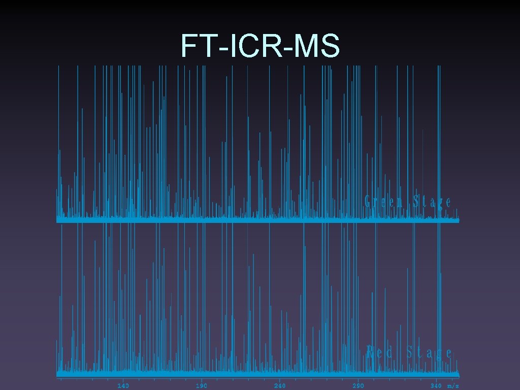 FT-ICR-MS 