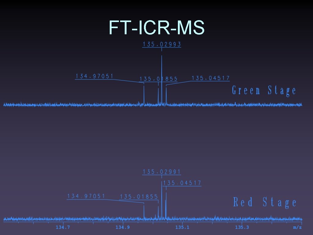 FT-ICR-MS 