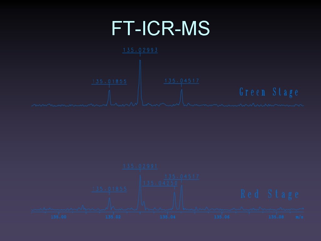 FT-ICR-MS 