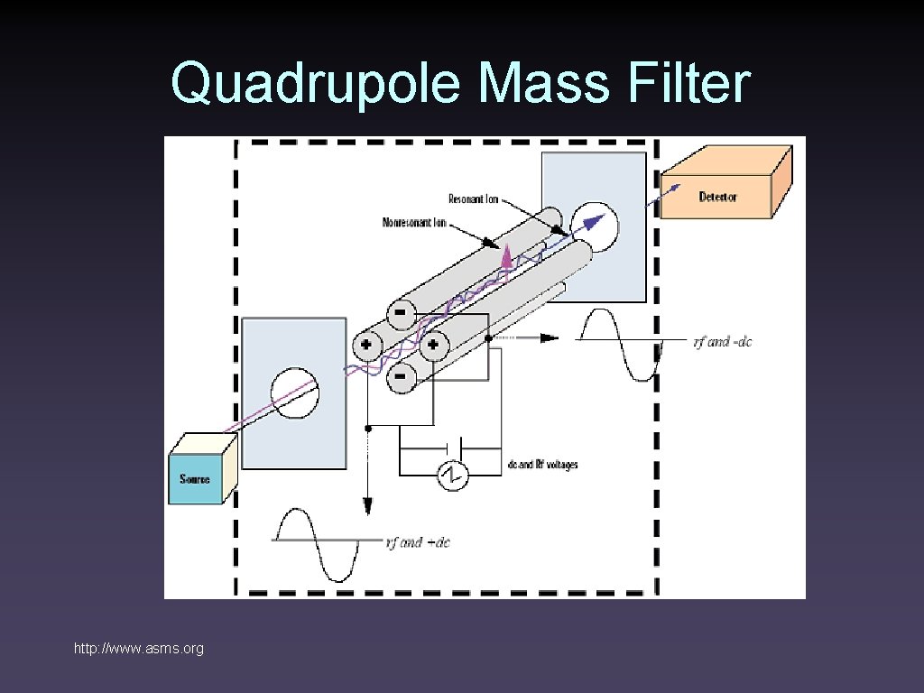 Quadrupole Mass Filter http: //www. asms. org 