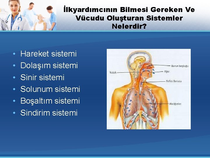 İlkyardımcının Bilmesi Gereken Ve Vücudu Oluşturan Sistemler Nelerdir? • • • Hareket sistemi Dolaşım