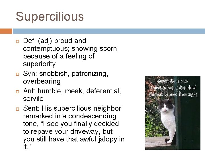 Supercilious Def: (adj) proud and contemptuous; showing scorn because of a feeling of superiority