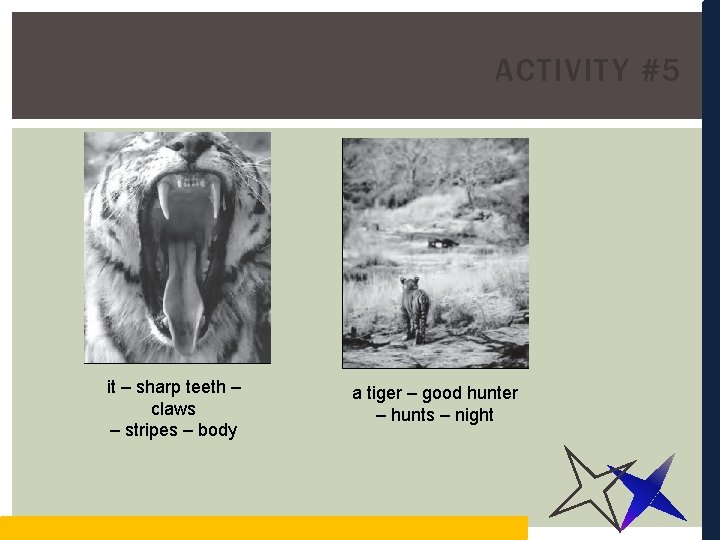 ACTIVITY #5 it – sharp teeth – claws – stripes – body a tiger