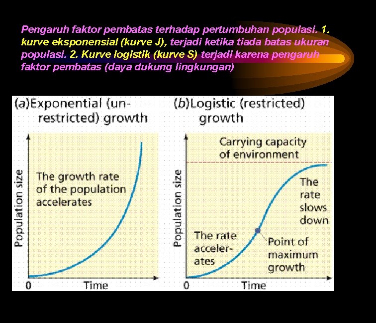 Pengaruh faktor pembatas terhadap pertumbuhan populasi. 1. kurve eksponensial (kurve J), terjadi ketika tiada