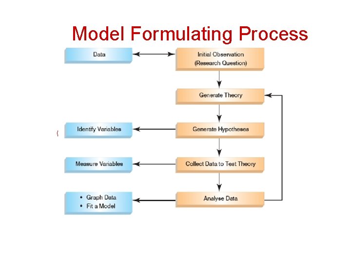 Model Formulating Process 