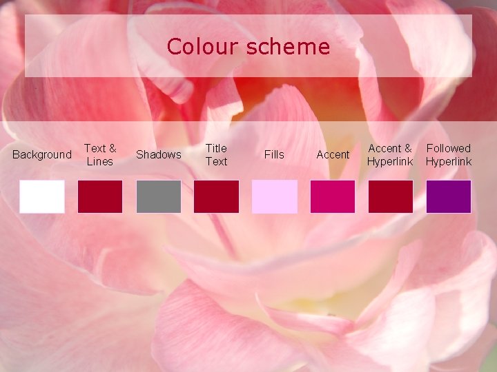 Colour scheme Background Text & Lines Shadows Title Text Fills Accent & Hyperlink Followed