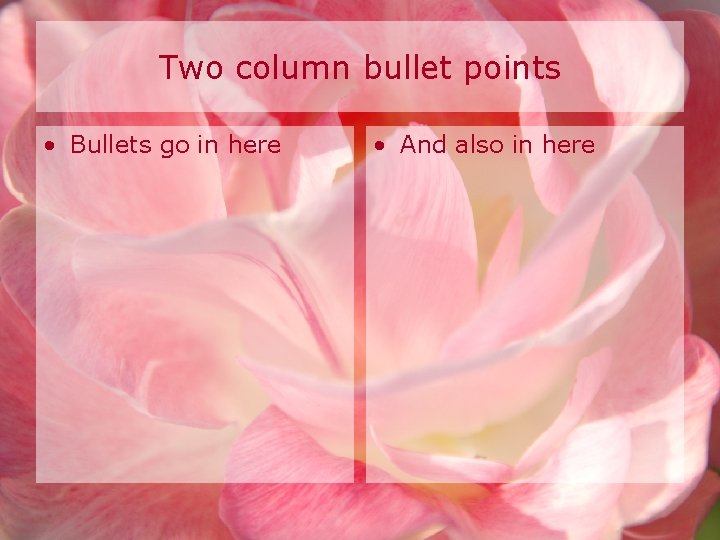 Two column bullet points • Bullets go in here • And also in here