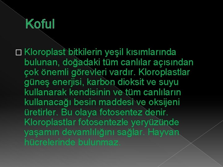 Koful � Kloroplast bitkilerin yeşil kısımlarında bulunan, doğadaki tüm canlılar açısından çok önemli görevleri