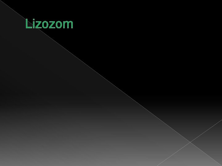 Lizozom 